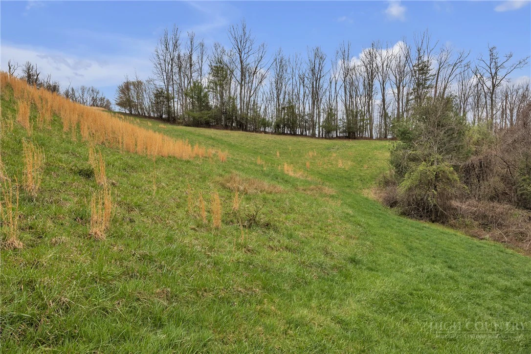 Image number 13 for the current listing