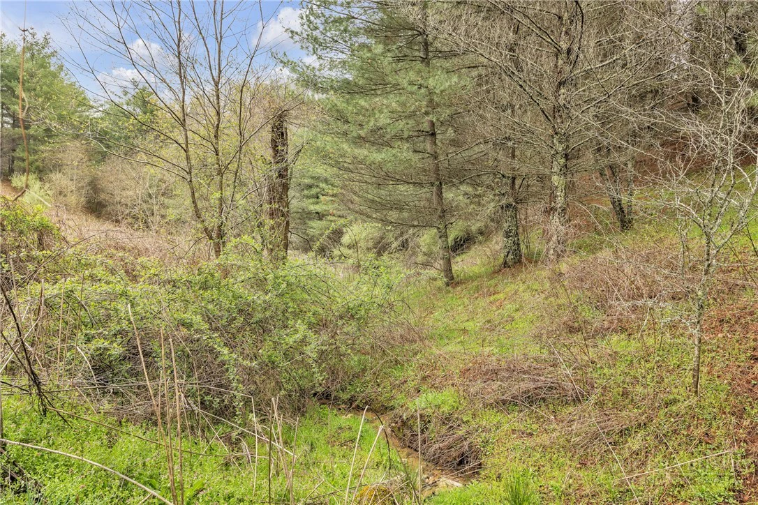 Image number 14 for the current listing