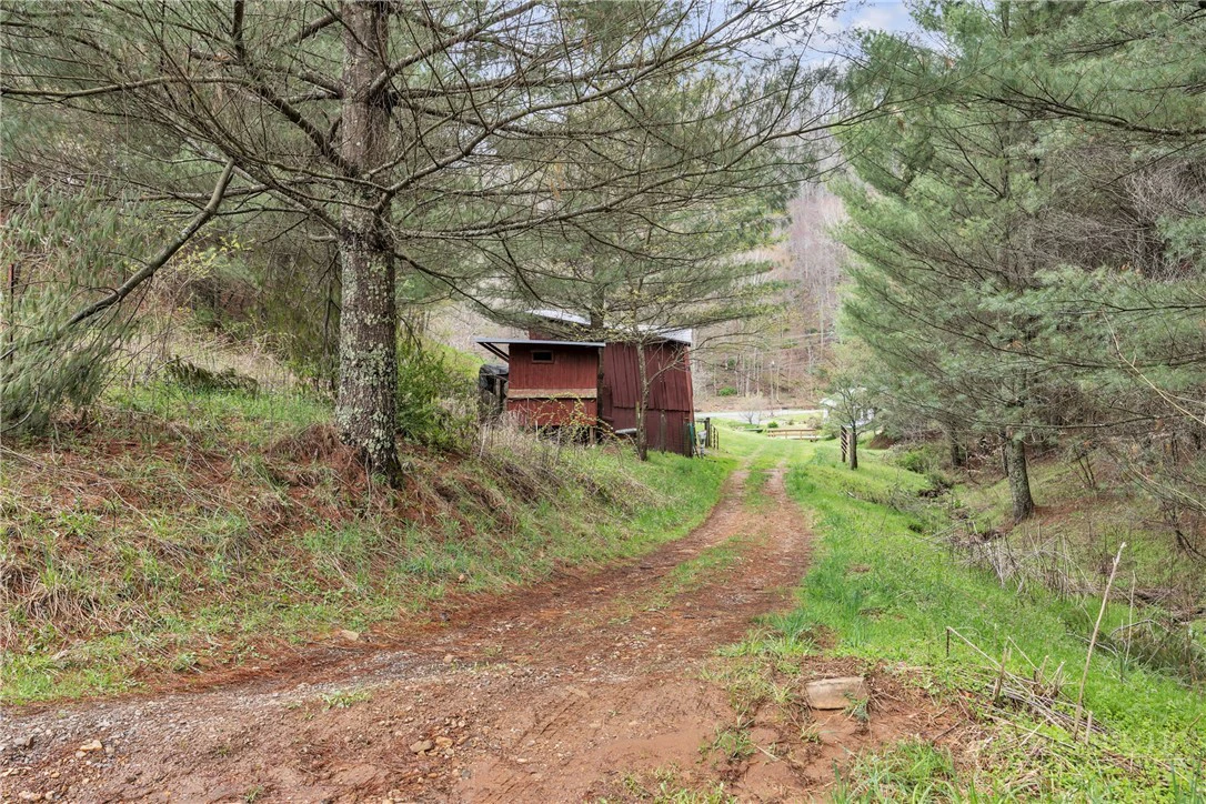Image number 19 for the current listing