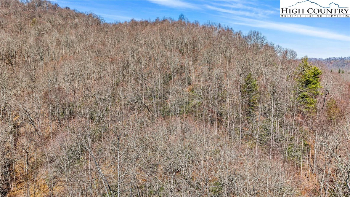 Image number 9 for the current listing
