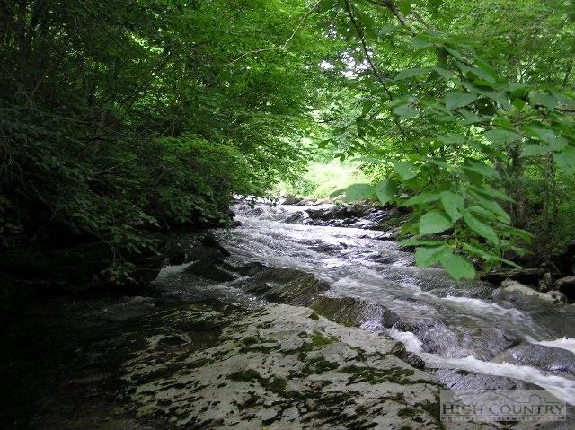 Image number 1 for the current listing
