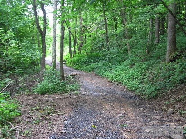 Image number 3 for the current listing