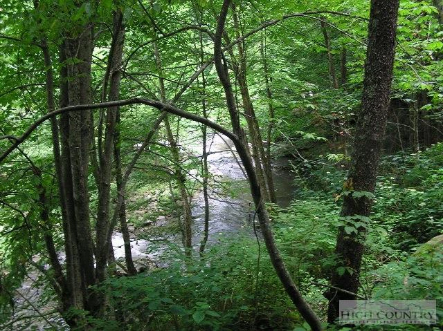 Image number 4 for the current listing
