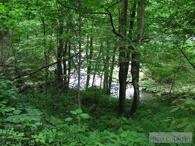 Image number 5 for the current listing