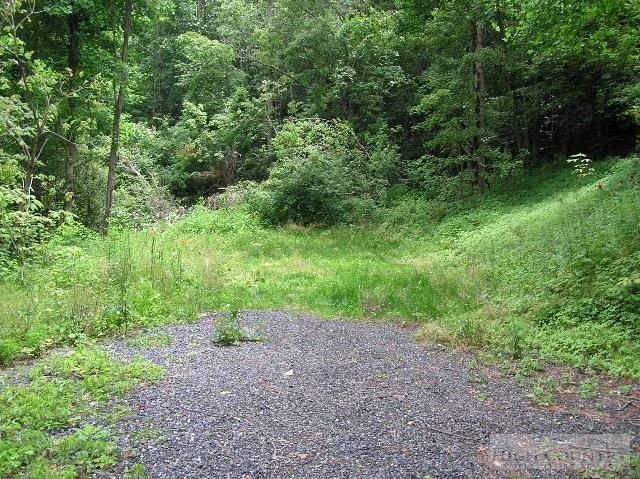 Image number 6 for the current listing