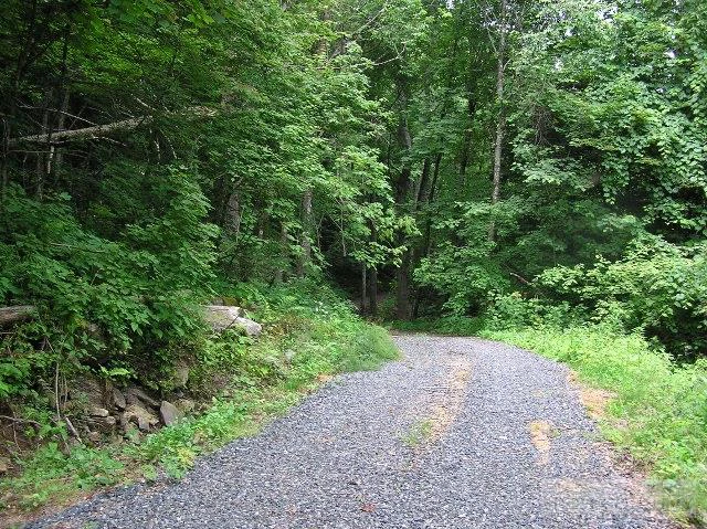 Image number 7 for the current listing