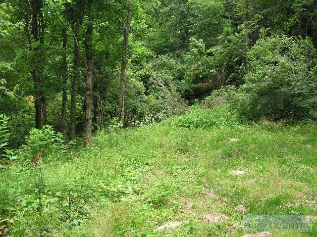 Image number 8 for the current listing