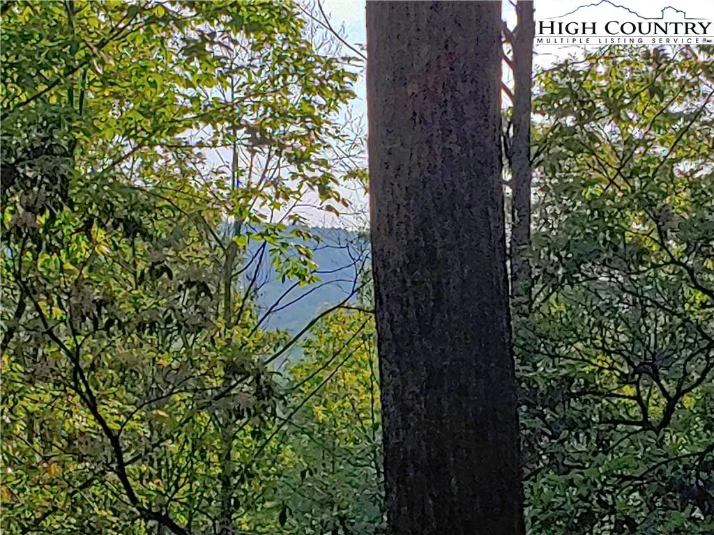 Image number 1 for the current listing