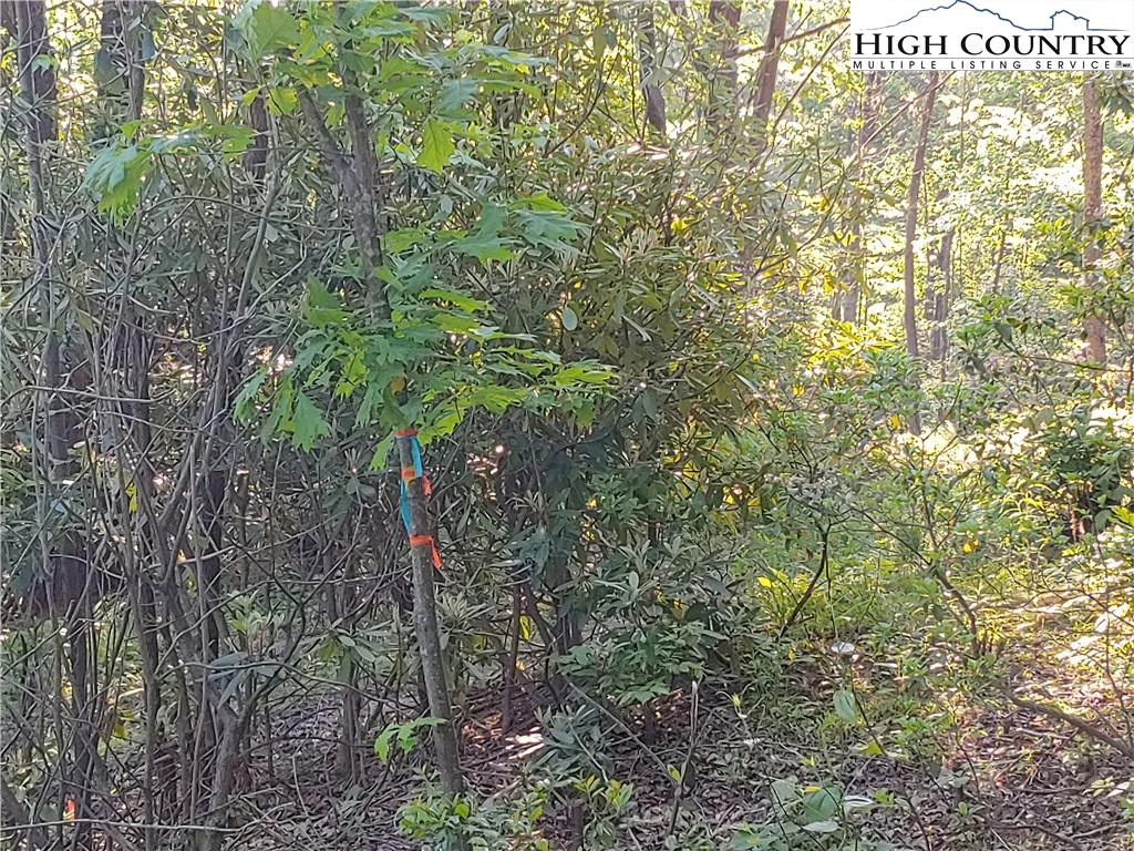Image number 3 for the current listing