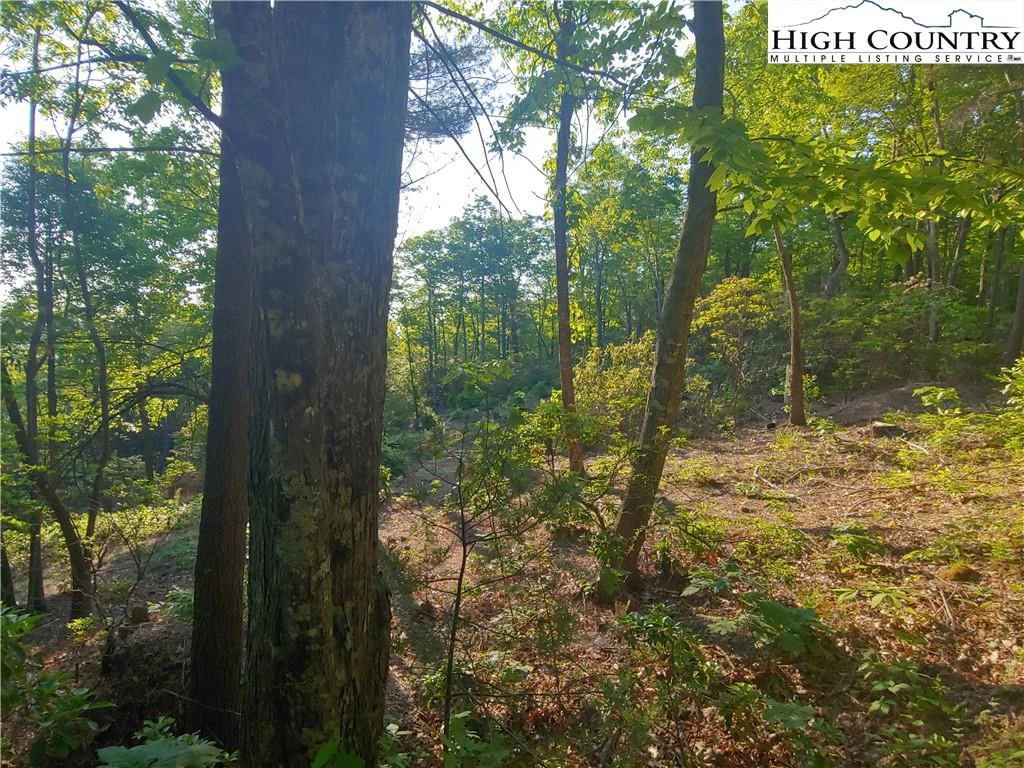 Image number 4 for the current listing