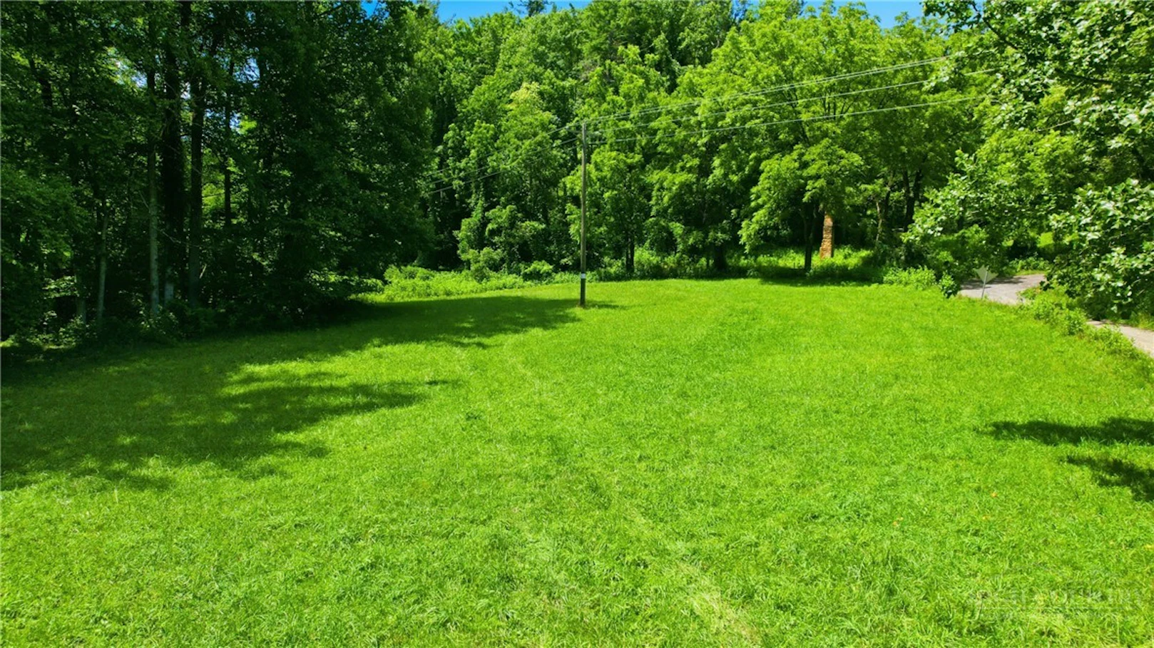 Image number 2 for the current listing