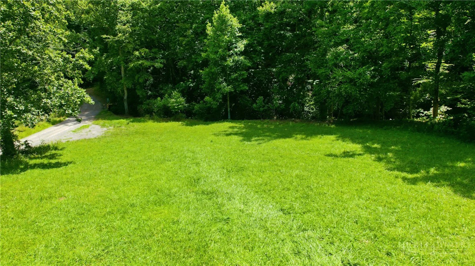 Image number 3 for the current listing
