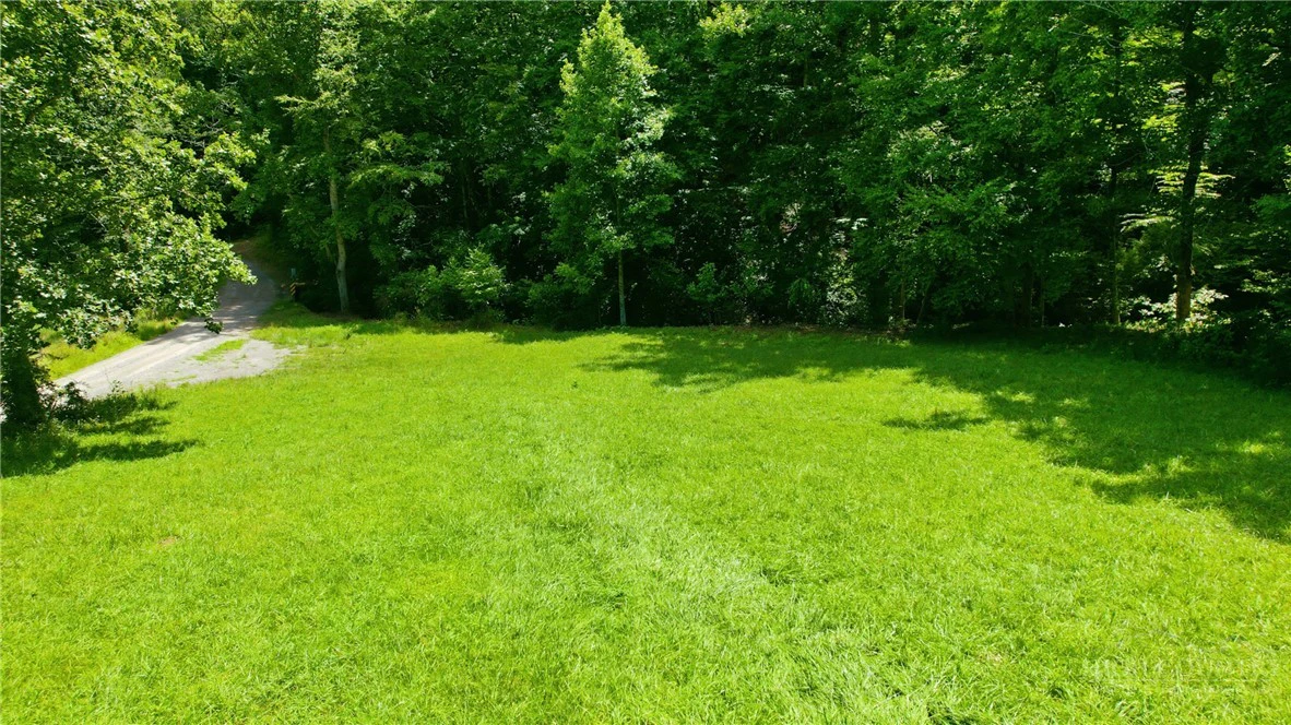 Image number 3 for the current listing