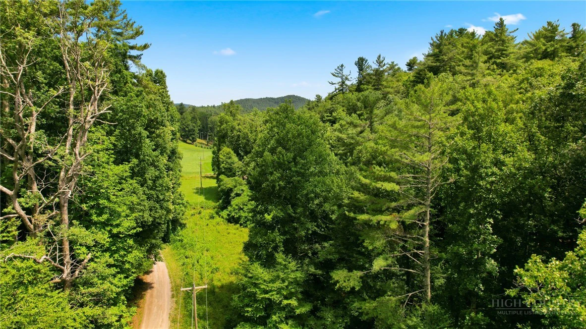 Image number 10 for the current listing