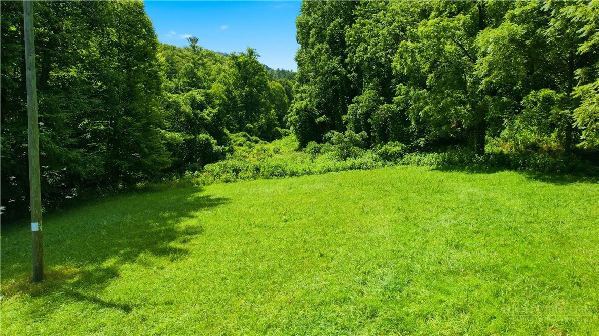 Image number 13 for the current listing