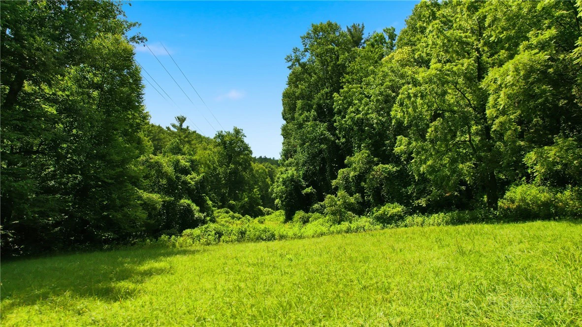 Image number 14 for the current listing