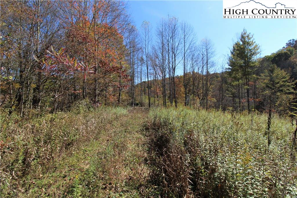 Image number 9 for the current listing