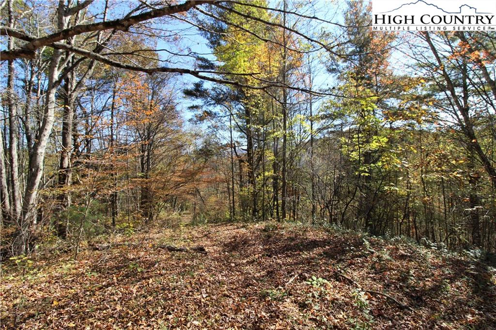 Image number 8 for the current listing