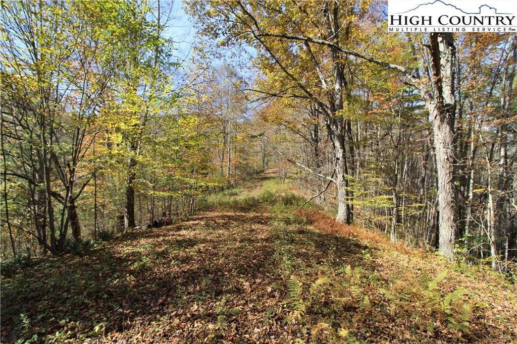 Image number 7 for the current listing