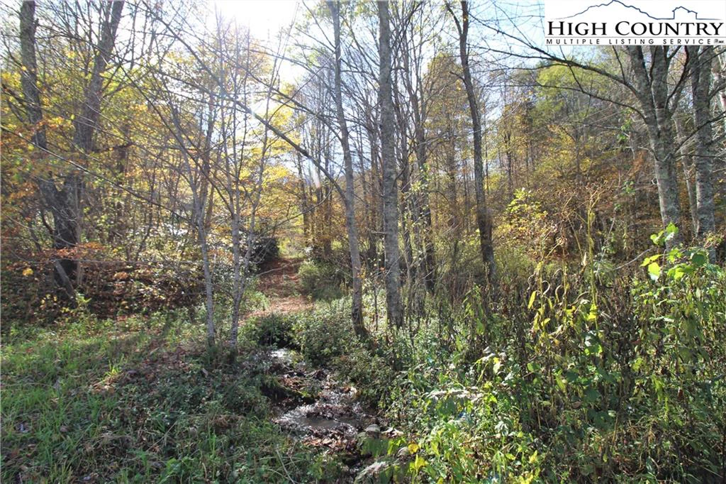 Image number 4 for the current listing
