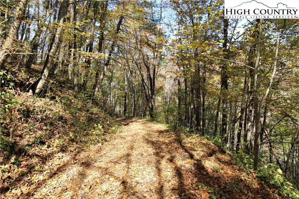 Image number 11 for the current listing