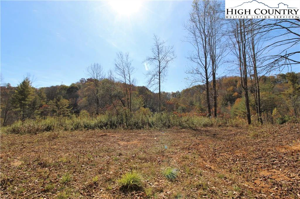 Image number 2 for the current listing