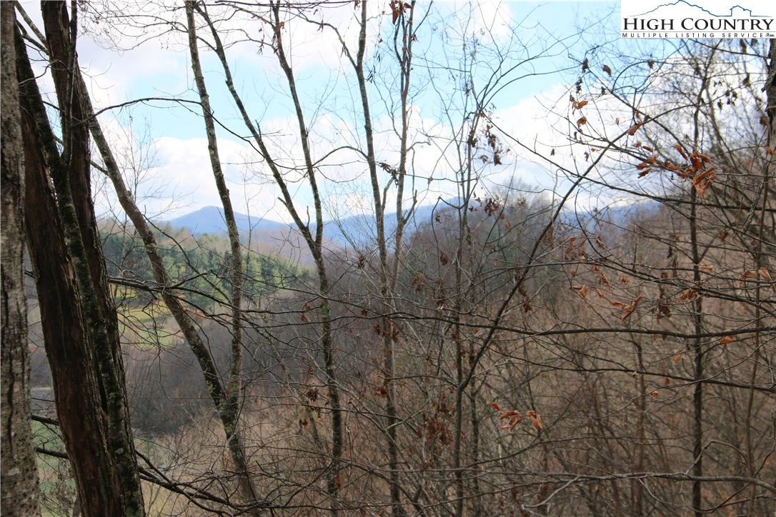 Image number 19 for the current listing