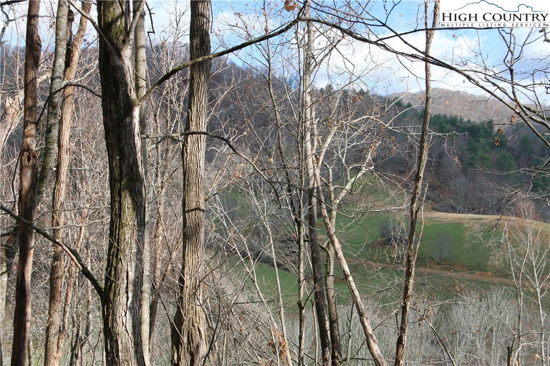 Image number 10 for the current listing