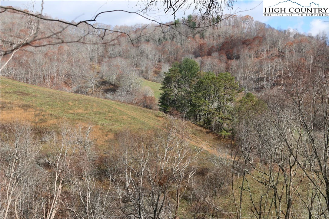 Image number 9 for the current listing