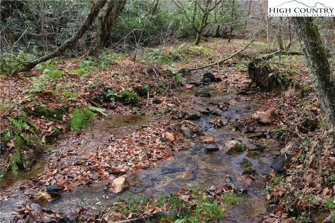 Image number 2 for the current listing