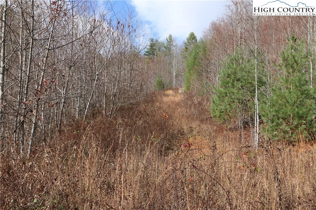 Image number 14 for the current listing