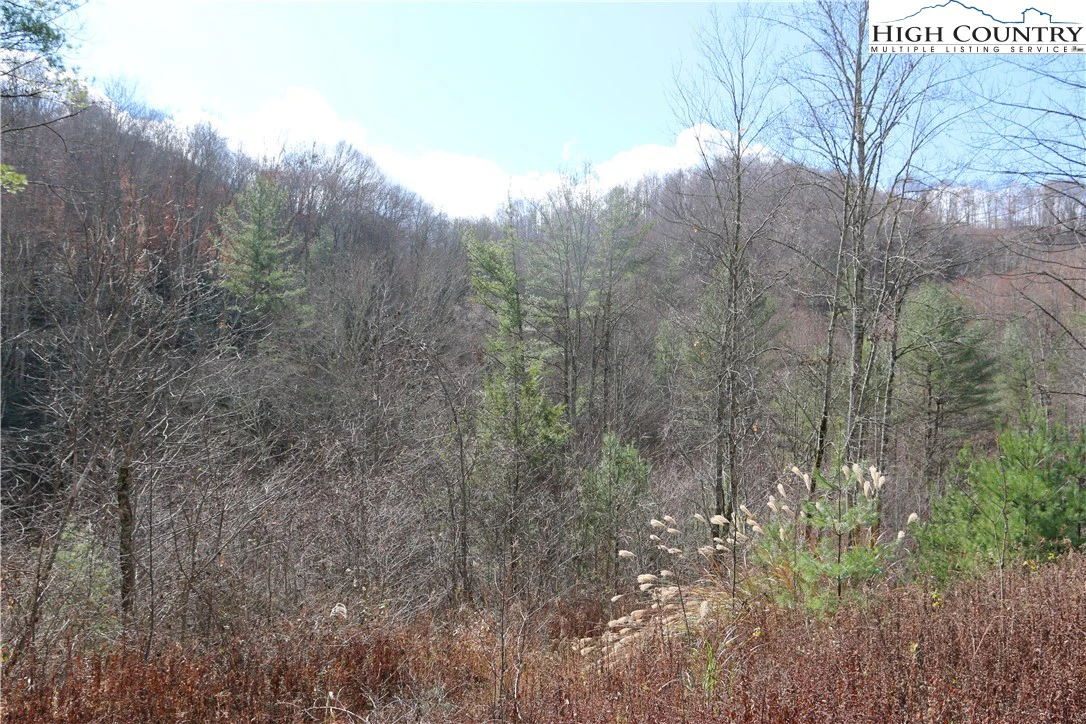 Image number 13 for the current listing