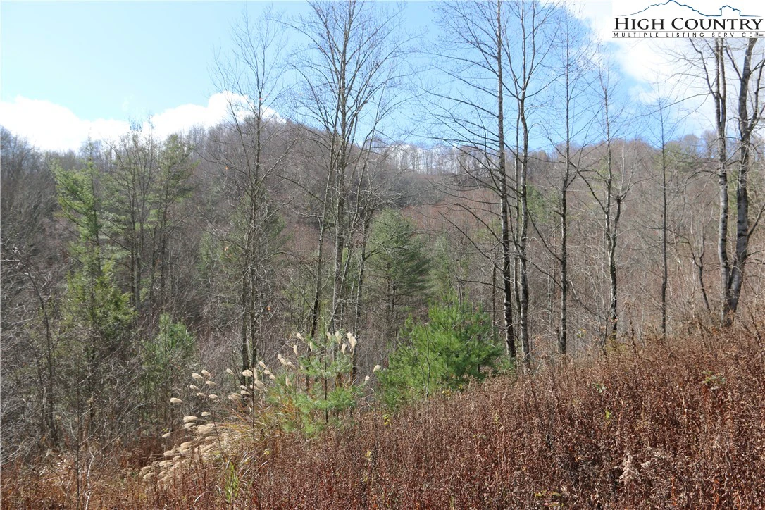 Image number 12 for the current listing
