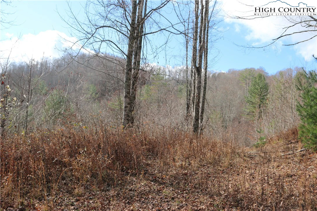 Image number 11 for the current listing