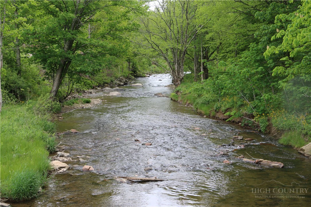Image number 1 for the current listing