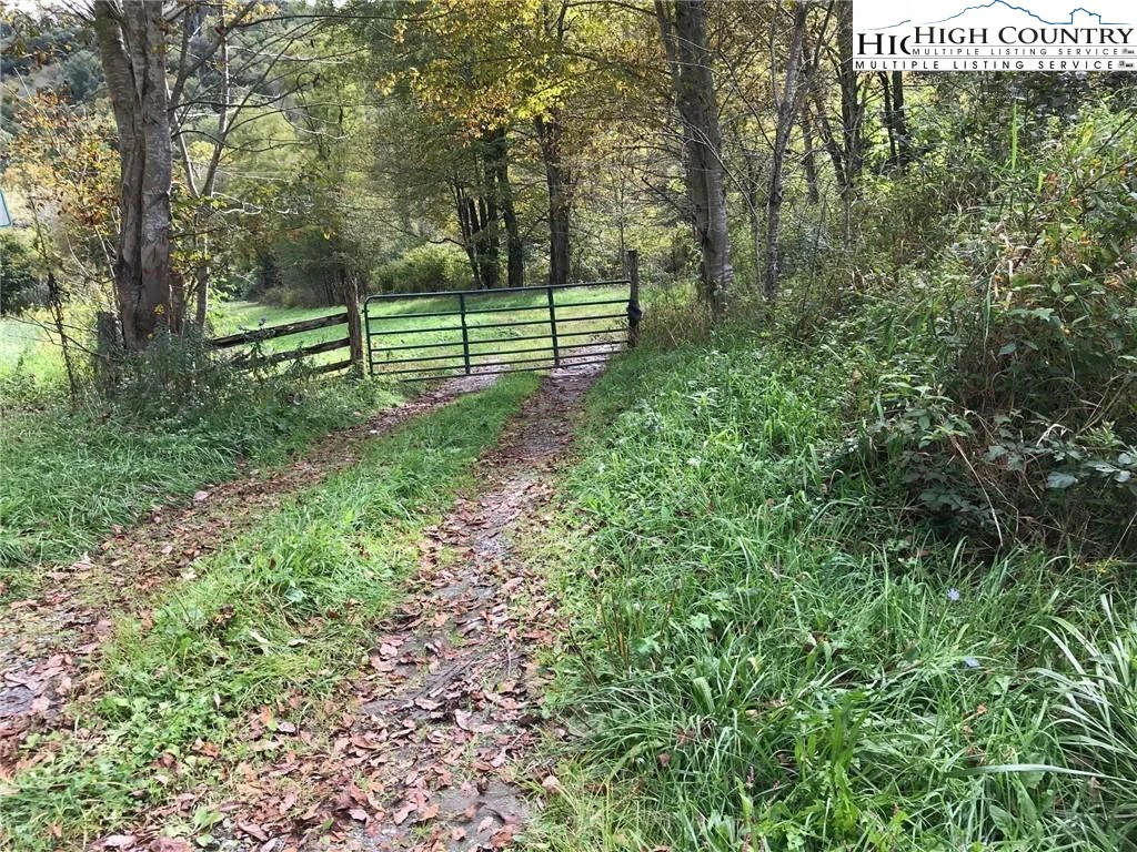 Image number 1 for the current listing