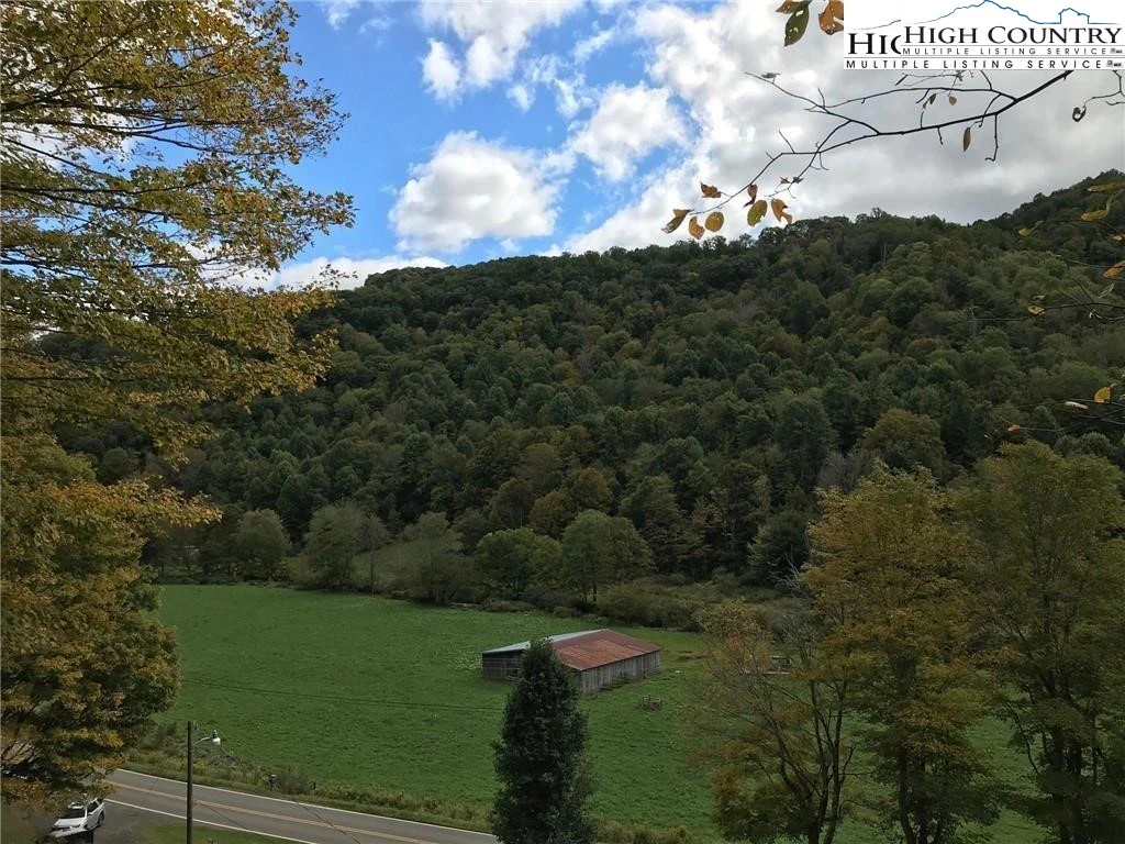 Image number 4 for the current listing