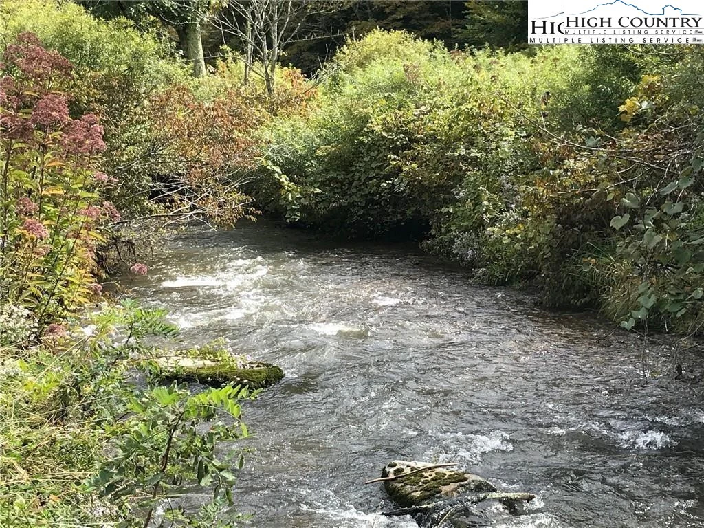 Image number 5 for the current listing