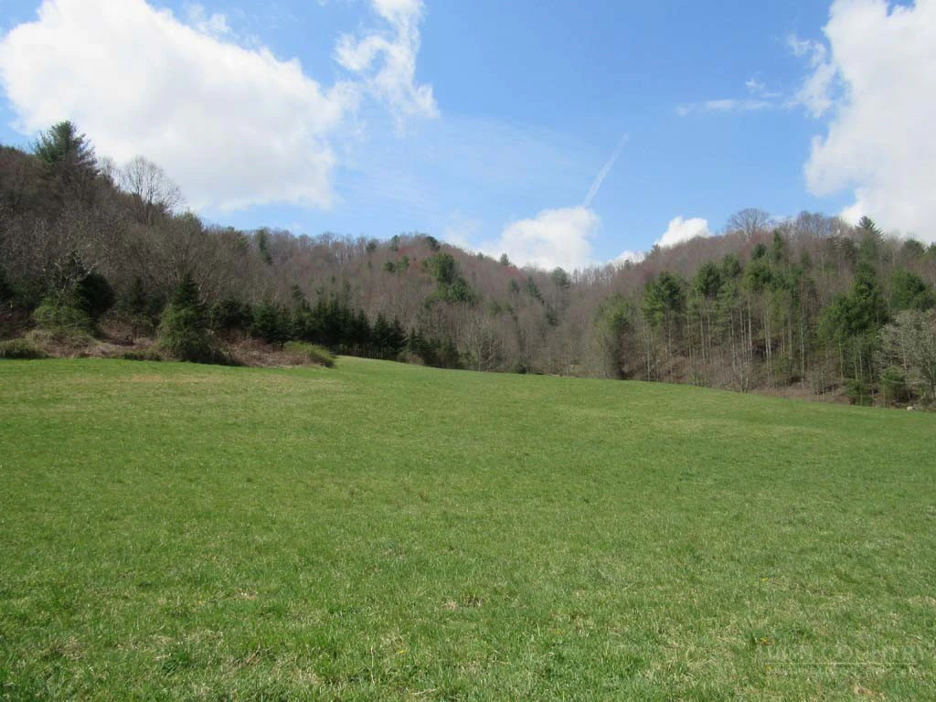 Image number 1 for the current listing