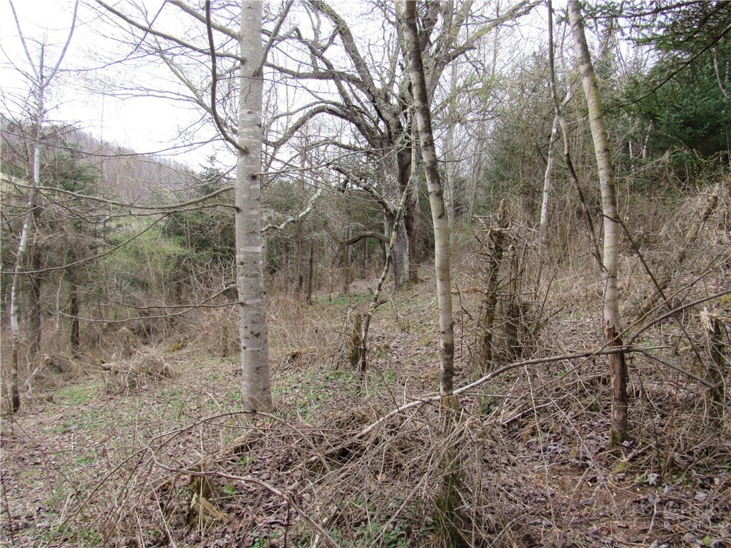 Image number 2 for the current listing
