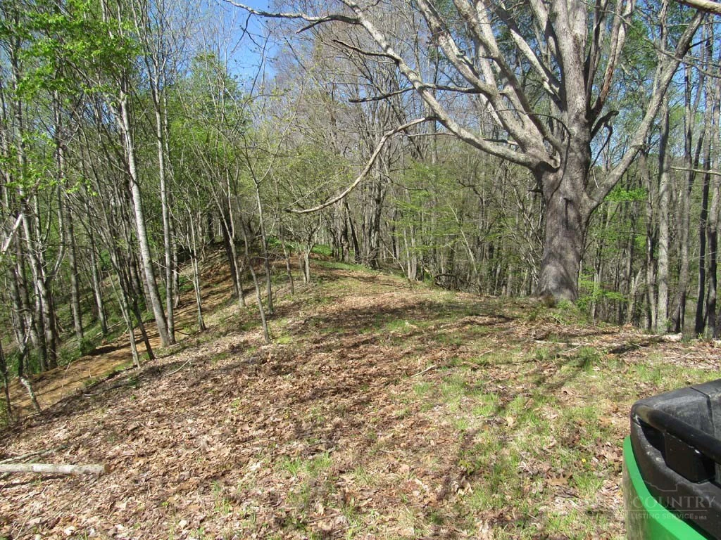Image number 18 for the current listing