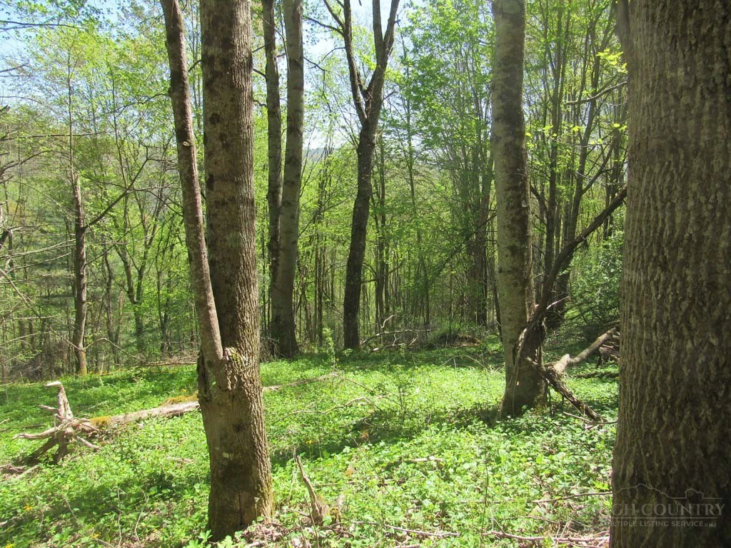 Image number 19 for the current listing