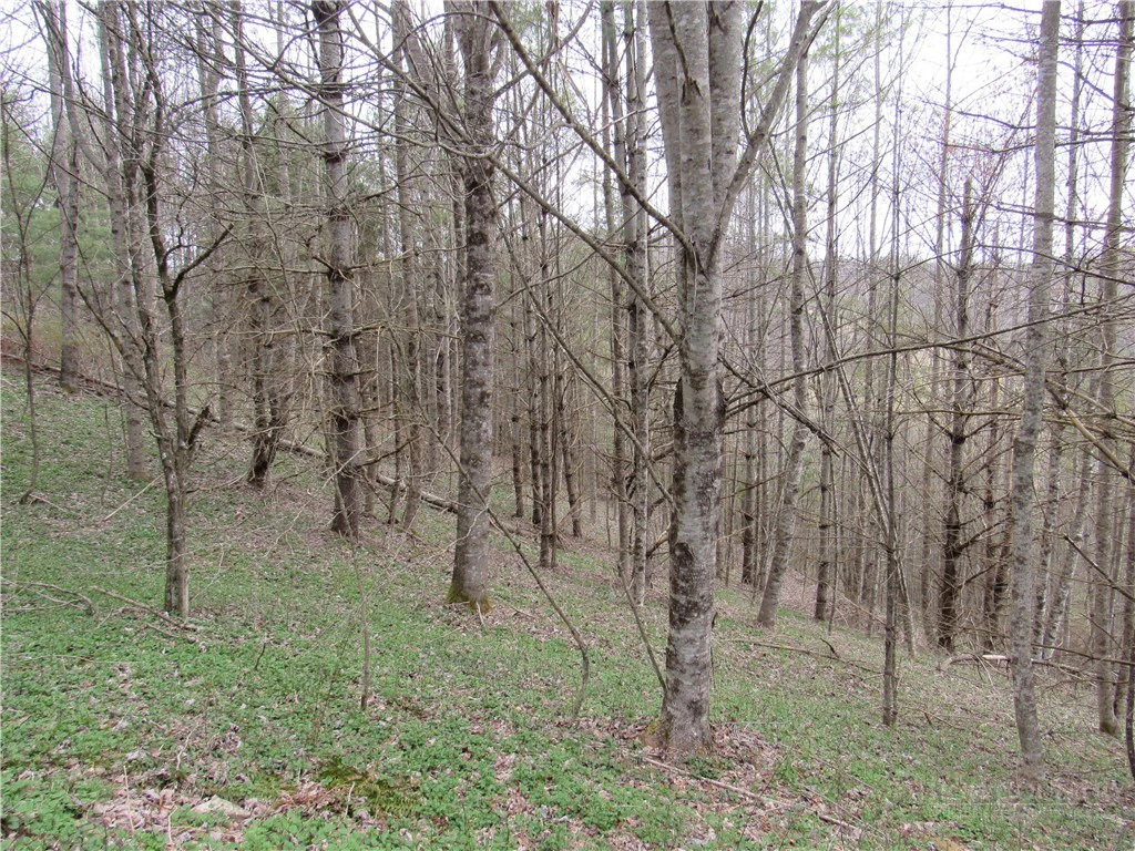 Image number 13 for the current listing