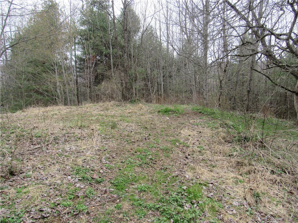 Image number 3 for the current listing