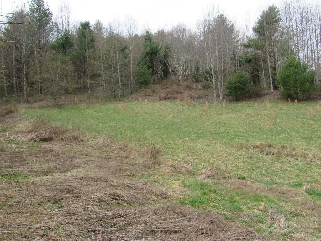 Image number 8 for the current listing
