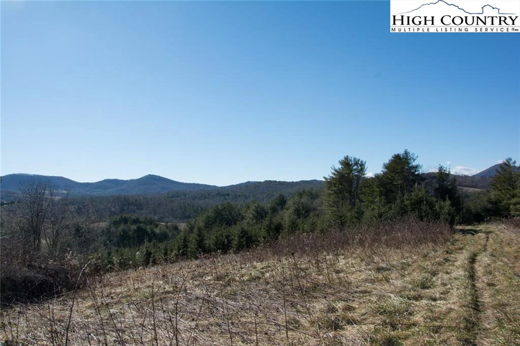 Image number 1 for the current listing
