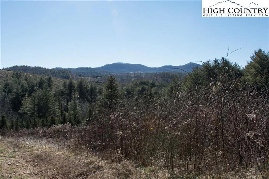 Image number 14 for the current listing