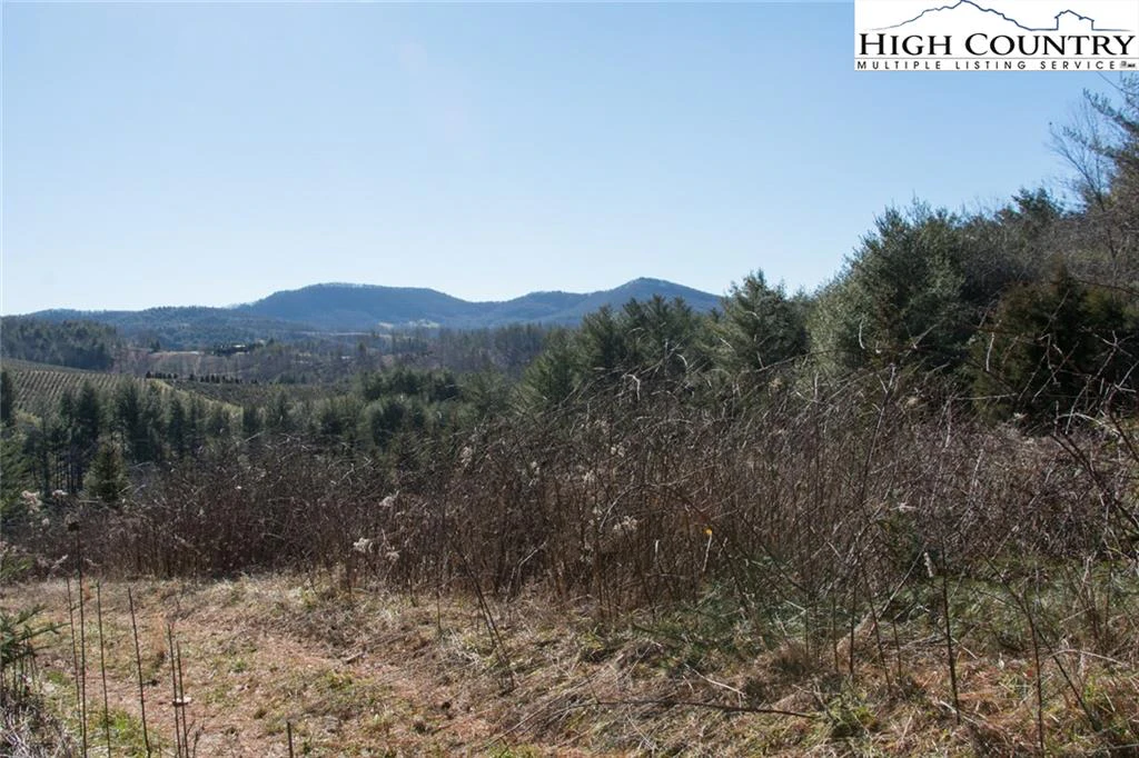 Image number 2 for the current listing