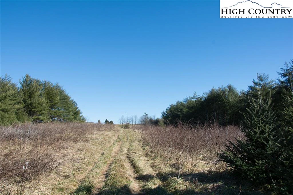 Image number 12 for the current listing