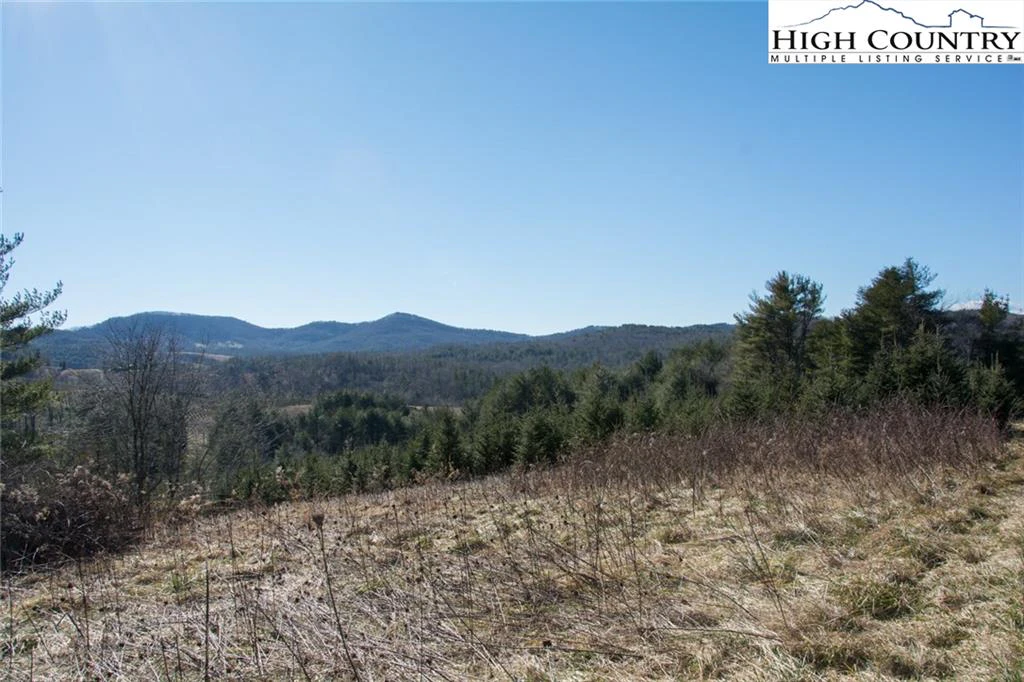 Image number 11 for the current listing